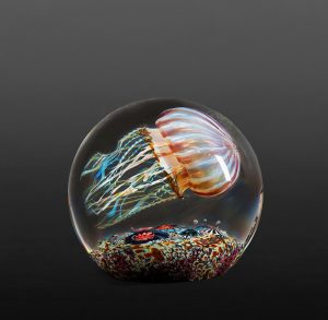 Satava-Passion-Moon-Jellyfish-Side-Swimmer
